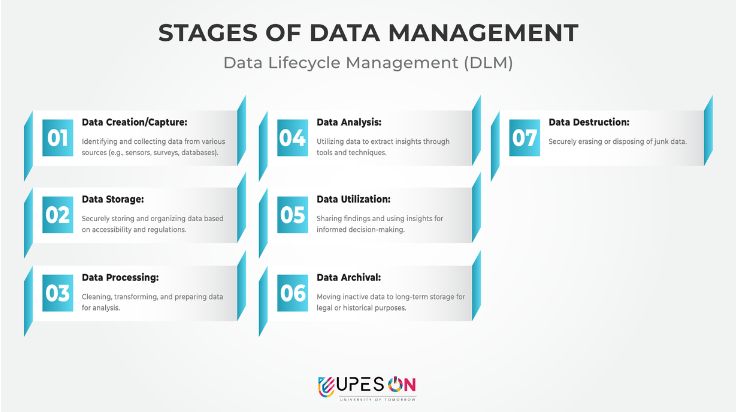 stages of data management